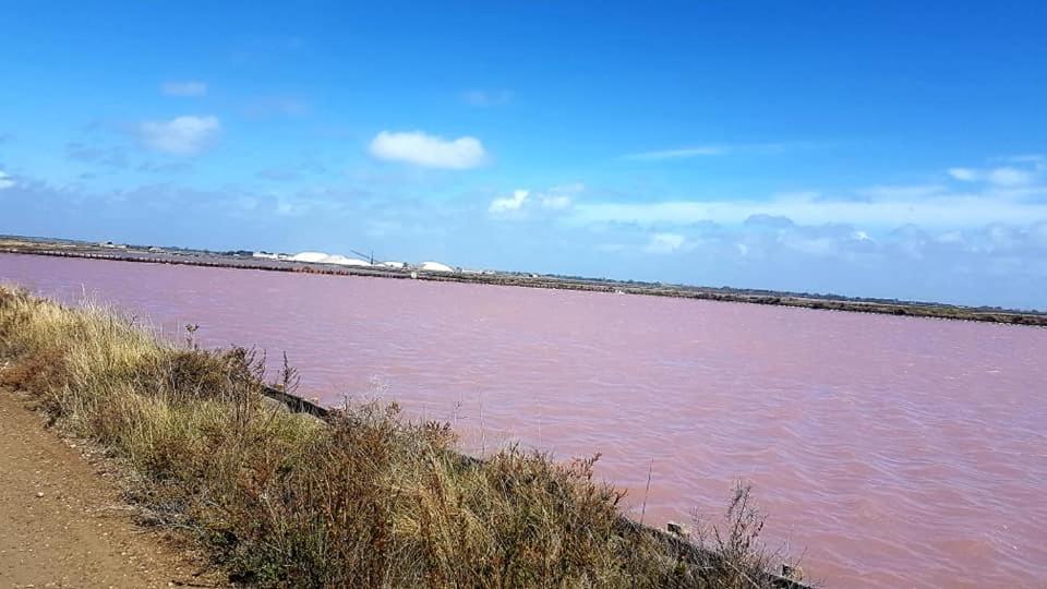 Vue Imprenable Sur Le Port, Proche Plages ! La Grande-Motte Exterior foto
